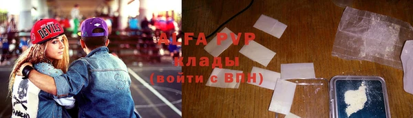 гидра Алексин