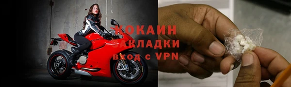 гидра Алексин