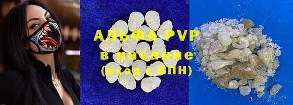 гидра Алексин